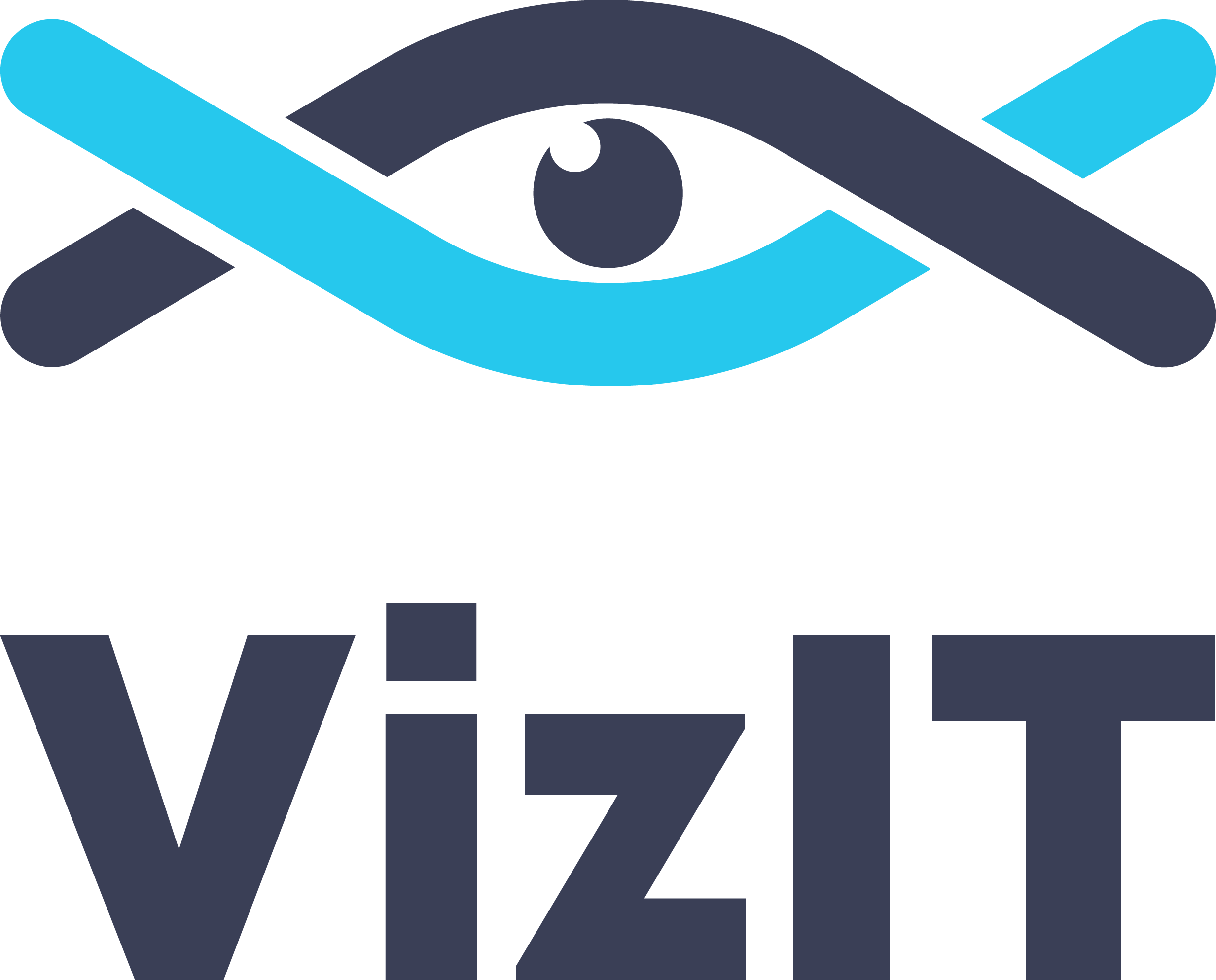 VizIT LLC logo